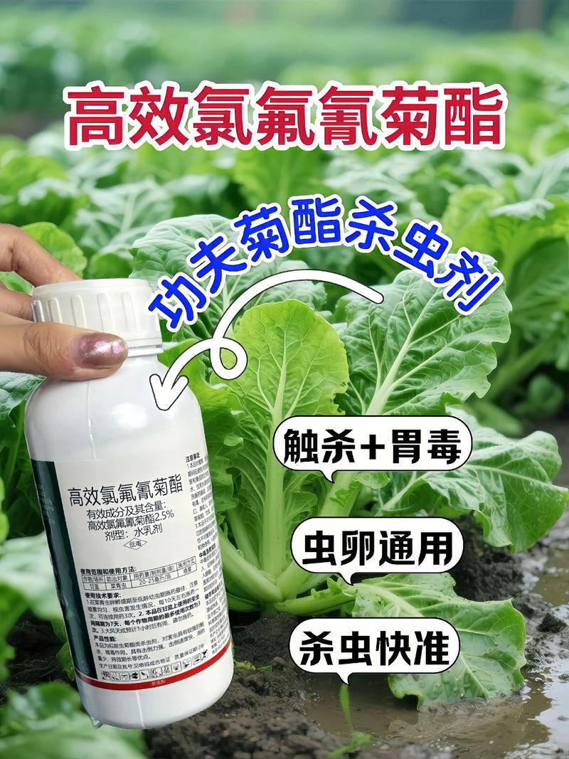 徐汇代生中心:农药对供卵代生妈妈的危害